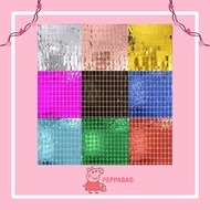 BIRTHDAY PARTY CURTAINS Foil Curtain/s Foil Backdrop Foil Curtain Fringe ES0557