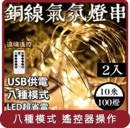 【E.C outdoor】桃苗選品—兩入組USB銅線氣氛燈燈串LED-附遙控器 10米100燈 氣氛燈