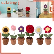 [szlztmy3] Handmade Crochet Flower, Hand Woven Flower, Mini Knitted Flower in Pot, for Friends, Women, Kids, Desk Decor Shelf