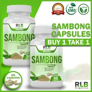 Buy 1 Take 1 - 100% Organic Pure Natural Sambong Capsules (60 Capsules) - Sambong Capsules for Herba