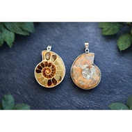 Ammolite Ammonite Pendant (1 Pair With Chains)