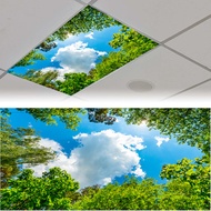 Ceiling Fluorescent Light Covers for Classroom | 2 x 4 Fixture Light Filters Flower Decorative Ceili