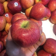 Buah-Buahan!! apel envy jumbo 1 kg/ apel garing dan manis