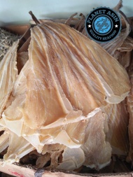 planet asin pari tipis ikan asin pari sisir
