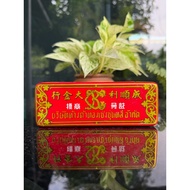 Gold Box Seng Sun Lee Shop Company