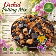 Orchid Potting Mix/ Tanaman Media Orkid