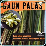 HOT SALE DAUN PALAS Ketupat Sebatang