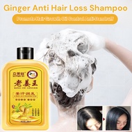 Ginger Anti-Hair Loss Shampoo Hair Growth Shampoo Nourish Hair Root Repair Damage Hair And Scalp Hai