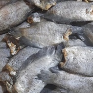 Ikan Asin Sepat Thailand Besar gr