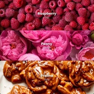 SEÑORITA by Bvior (Perfume For Women)