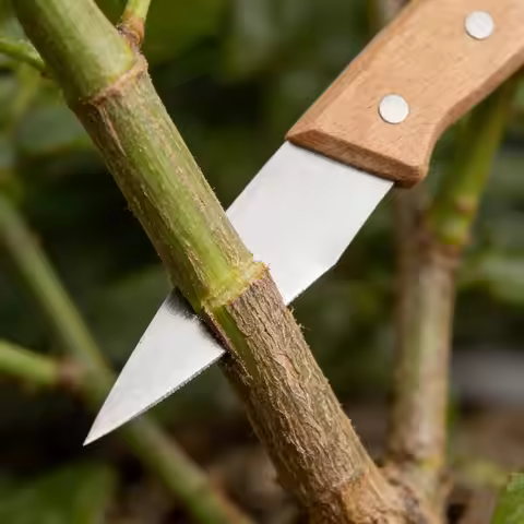 Super-Hard Steel Grafting Knife, Professional grafting tools - Professional Budding Tools for Fruit 