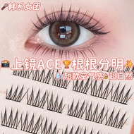 Root Self-Series Glue Daily Clear False Eyelashes ace Same Non-Sticky Girl Group Root Love Short Nat
