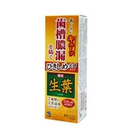 小林製藥 - 生葉Hc牙齦緊緻牙膏 100克