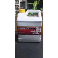 Baja Foodie TE  (4L)