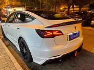 🅰️🅱️tesla model 3 /y ⭐️x戰隊led尾燈