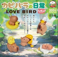 ❰扭蛋玩具街❱ ❰11月預購❱ ❰單售/一套5款❱ ❰日本扭蛋❱ Amuse 可愛水豚日常