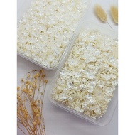 (20 gr) Flower beads/mini flower petal beads