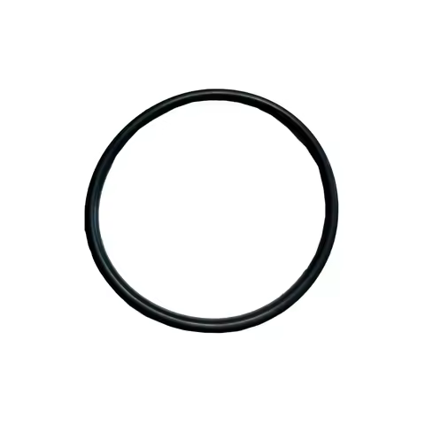 Sealing Ring for Intex Pump Model Type SSP-H-10-2 SSPH102 403M SSP-H-20-M & SB-20M Pure Spa Water Pu