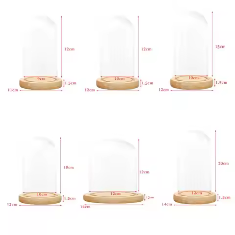 Clear Dome With Wooden Base Tabletop Display Glass Cover Dry Flower Ornaments Craft Dust Bell Jar Te