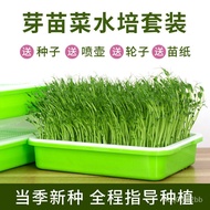 QZ🍫Sprout Vegetable Seedling Tray Hydroponic Vegetable Wheat Grass Seedling Planting Plate Bean Sprouts Tray Balcony Veg