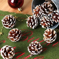 【In Stock】White-Dusted Pine Cones for Christmas Decoration 3CHX