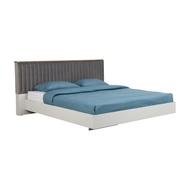 INDEX LIVING MALL เตียงนอน รุ่นโคโค่ ขนาด 6 ฟุต พื้นเตียงทึบ - สีเทาอ่อน/เทา