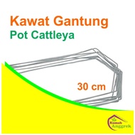 Kawat Gantung Pot Cattleya 30 cm kaki 2 anggrek dendrobium tali hijau