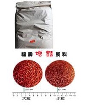 [ 台中水族 ] 福壽增豔飼料20KG -小  特價 錦鯉.各種觀賞魚可用