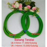 Lotus stem/Lotus flower stem