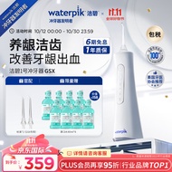 洁碧（Waterpik）手持便携式电动冲牙器水牙线洗牙器洁牙机 清洁口腔预防牙结石 重磅新品 GSX  礼物