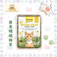 GimCat 簡易種植貓草 150g