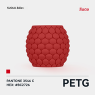 Sunlu 3D พิมพ์ PETG วัสดุพิมพ์แบบพื้นฐานสีสันสดใสทนทานต่อการตกหล่น ทนทานต่อการกระแทก ทนทานต่อการสัมผ