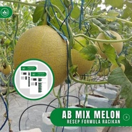 A,PUH Resep AB Mix Melon Formula Dual Racikan Nutrisi AB Mix Buah