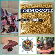 1 KG Hot Selling ✨ BAJA OSMOCOTE NPK 14:14:14 Slow Release Fertilizer