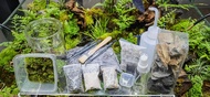 🔥Terrarium DIY Kit with Glass🔥- Terrarium / Garden / Starter Kit / Live Moss / Miniature Garden / In