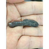 Two-Tailed Gecko Palakit