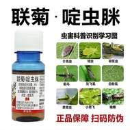 【SG Reduced Price Sale, Free Shipping to Home】Plant Easy Flower Insecticide Small White Medicine Imidacloprid Vegetable