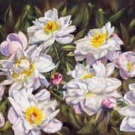 藝術家 Irina Zhunaeva 的牡丹原創水彩畫