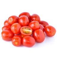 Biji Benih Red Cherry Tomato (20 seeds) / Red Cherry Tomato Seeds