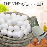 5pcs Eggs Fake Eggs Plastic Solid Parrot Eggs False Bird Eggs Hatching Eggs Hatch