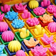 [Creative Gift] Expansion Cactus Soaking Water Bigger Toy Soaking Big Plant Holiday Children Gift Ki