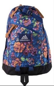 Gregory 橙花18l