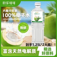 Jule Cocoa 100% Coconut Water 1.25L * 2 Refreshing Drink nfc Juice Bottled Delicious 0 Additives Sto