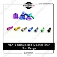 M6X18 Titanium Bolt T2 Series Inner Plum Design