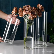 🚓Borosilicate Glass Vase Large Thickened Dracaena Sanderiana Flower Arrangement Floor Vase Flower Simulation Straight Cr