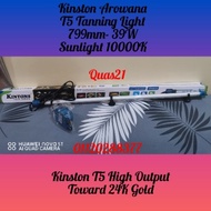 [Gen 10]Kinston Arowana Tanning Light (Sunlight 10000K)- New Packing