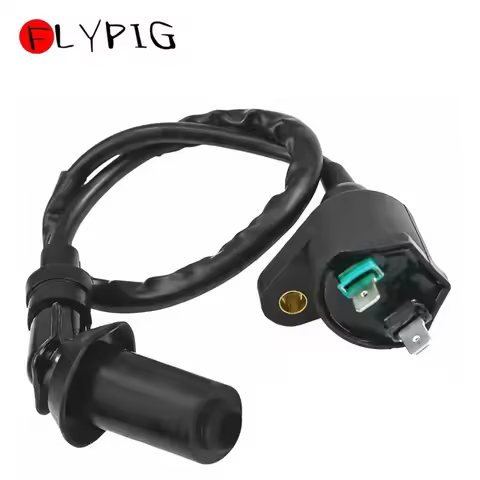 Motorcycle Ignition Coil for GY6 50cc -150cc 4-stroke Engine Honda Gyro NSR50 NX250 Rebel 450 Touris