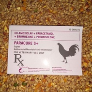 PARACURE S+ 10caplets*CO-AMOXICLAV+PARACETAMOL+BROMHEXINE+PREDNISOLONE