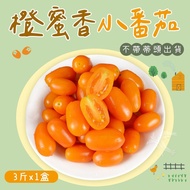 【禾鴻】橙蜜香小番茄禮盒3斤x1盒(不帶蒂頭出貨)【預購】