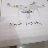 Terbaru Drone Dji Phantom3 Professional White Original Dji Phantom3